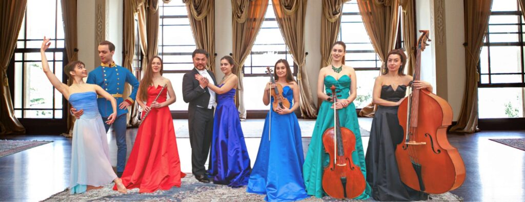 Vienna Premium Orchestra